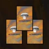 Three Pack Spore Prints - Image 2