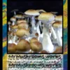 B+ Spore Syringe - Image 3