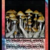 Fuzz Spore Syringe - Image 3