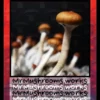 RedBoy Spore Syringe - Image 3