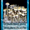 Shooting Stars Spore Syringe - Image 3