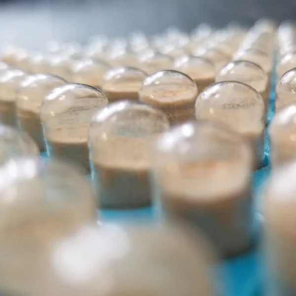 Organic Lion's Mane Extract Capsules - Image 2